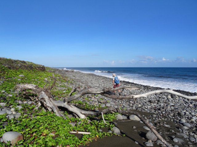 Pour les éviter, choisir une balade sur les galets de la plage
