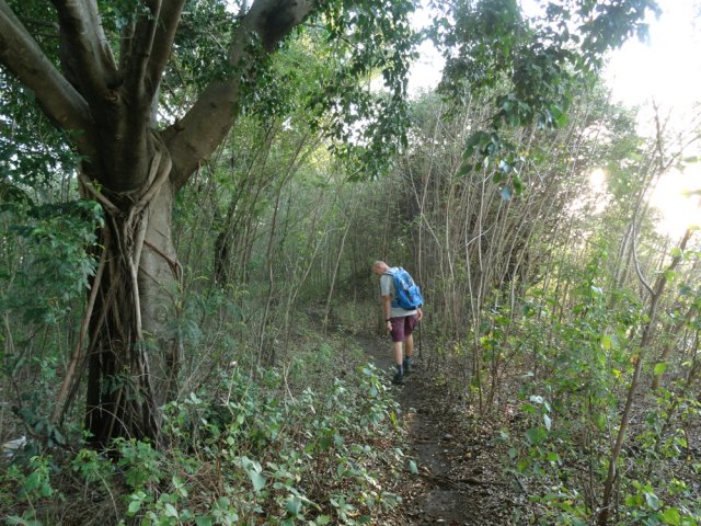 Il reste encore 200 m de sentier dans Saint-Denis !