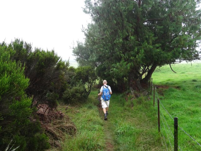 Les premiers pins du Mexique marquent la fin proche du circuit