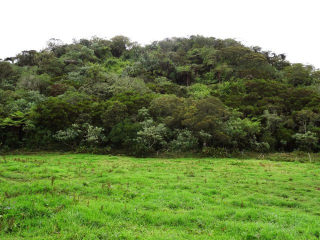 Le minuscule Piton Doré, en propriété privée