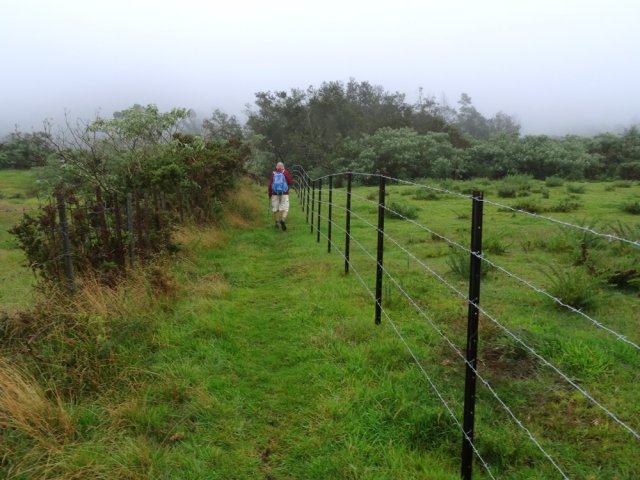 Largement de quoi passer entre vieille et nouvelle clôtures