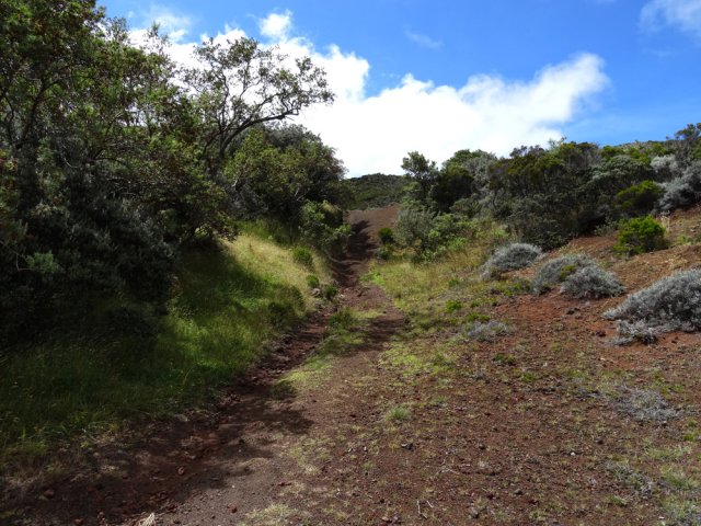 On récupère le GRR2 à deux pas de l'aire sous les petits tamarins des Hauts