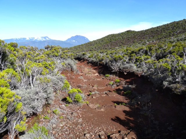 Le bas de la pente du Piton des Feux