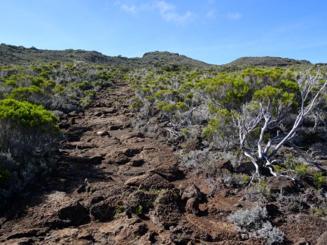 Au sommet, les antennes dominent le Piton des Basaltes