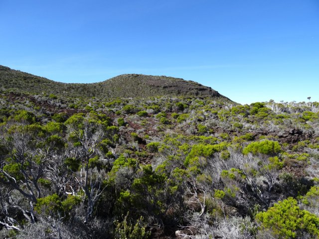 Les 2412 m de ce petit piton s'atteignent également en hors sentier
