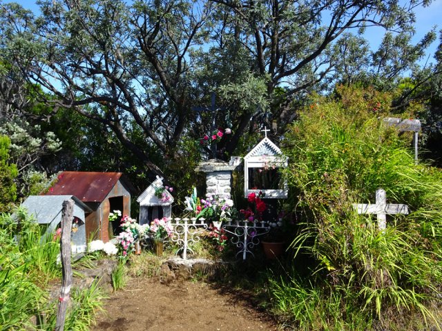 Arrivée à l'Oratoire Sainte-Thérèse, toujours aussi fleuri
