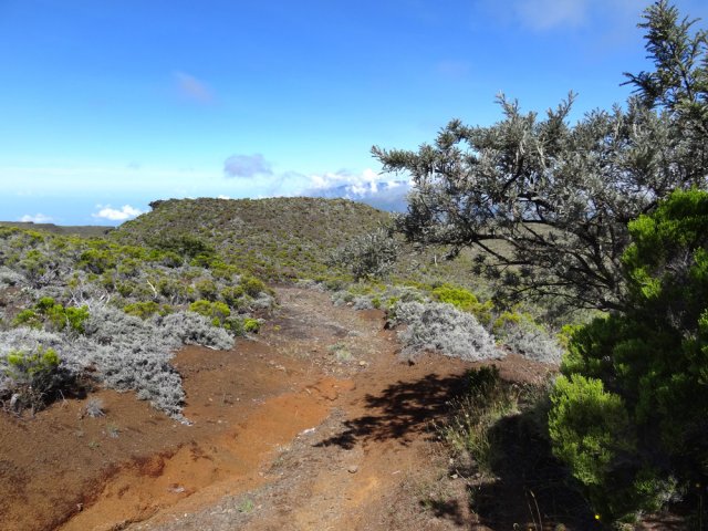 Le début de la piste cavalière pour un retour tout aussi caillouteux