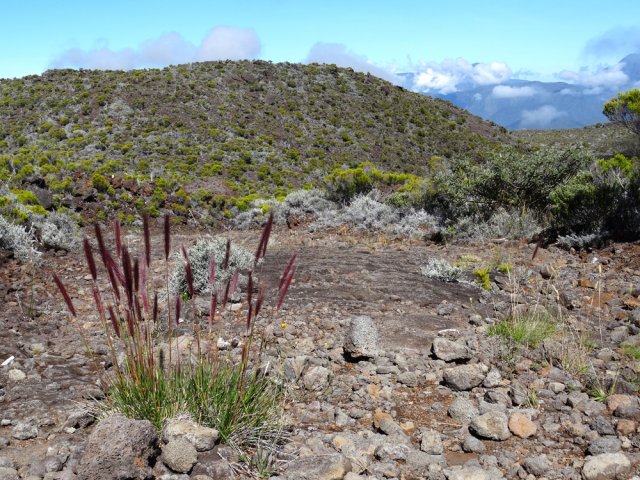 Le Piton à 2412 m, à quelques dizaines de mètres de la piste