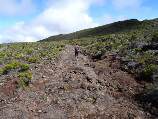 Une idée de la piste en descente douce