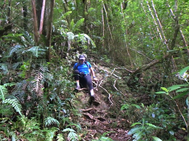 Il est parfois plus prudent de s'asseoir plutôt que de trébucher dans les racines