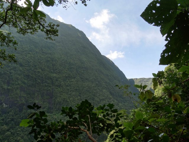 Là-haut, le point de vue sur le Trou de Fer depuis la Forêt des Lianes
