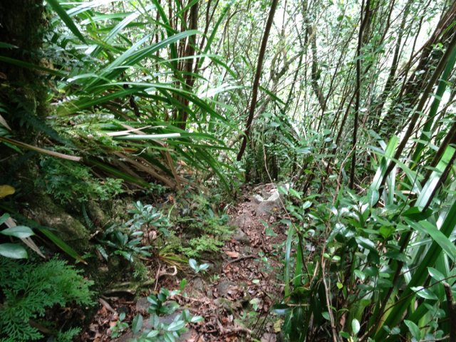 Une des rares portions plates de la descente
