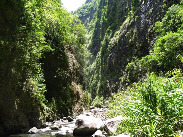 Le canyon, peu après la ravine nommée "coloscopie" par les canyonistes