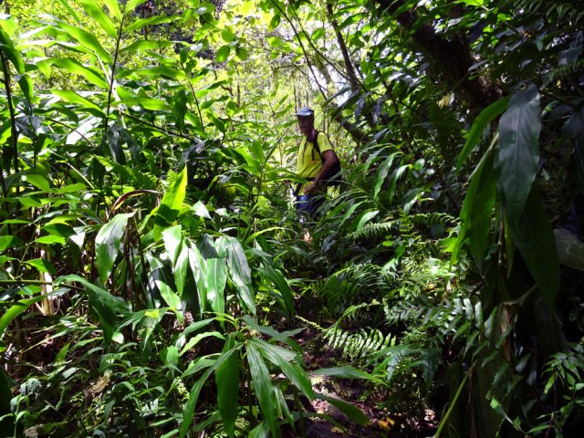 Petit écart dans les longoses boueuses pour monter à la Cascade Blanche