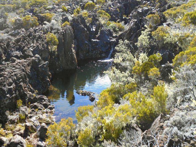 Mini cascade et bassin en longeant le Petit Bras de la Grande Ravine