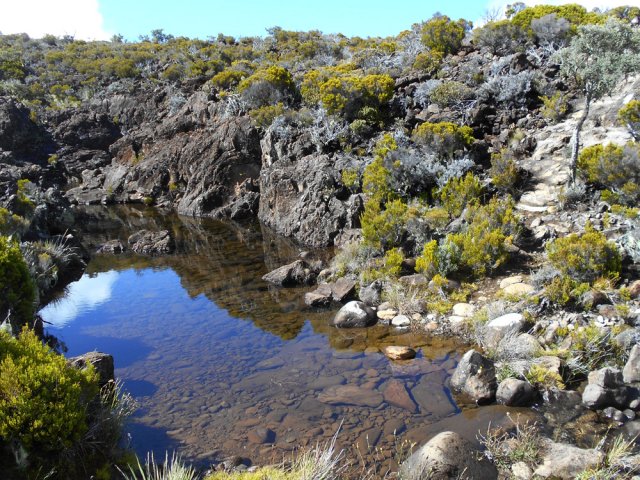 Le sentier traverse le Petit Bras près d'un bassin