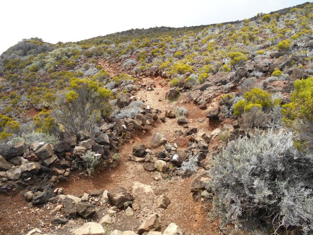 Le sentier de la Glacière