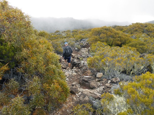 On constate un changement de végétation à l'approche du deuxième puits