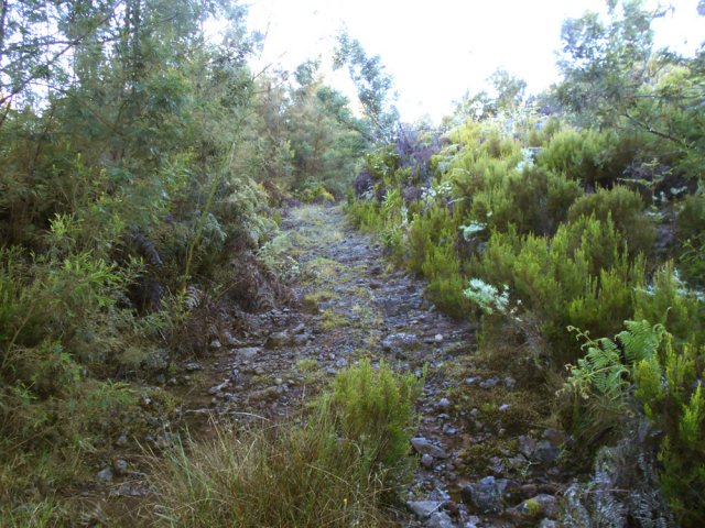 Plus loin, la piste, jamais utilisée, vieillit très rapidement