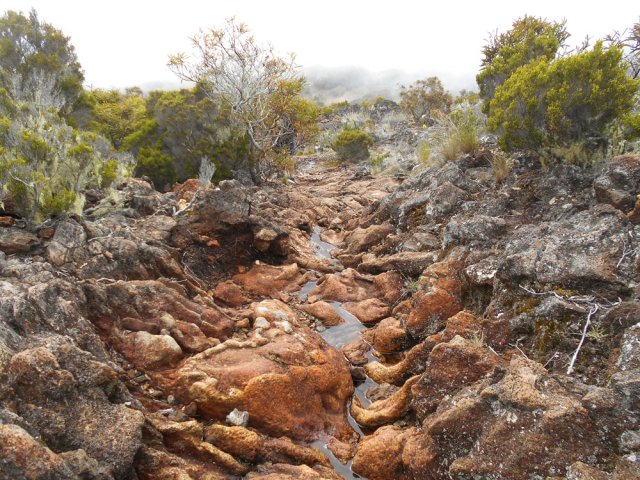 Pas de cailoux pour une fois mais de longues portions de basalte oxydé