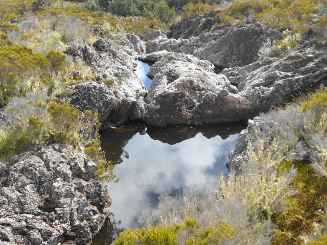 La Grande Ravine et ses bras ne sont que des successions de bassins