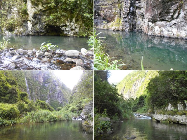 Tous les 100 mètres, c'est le festival de beaux bassins