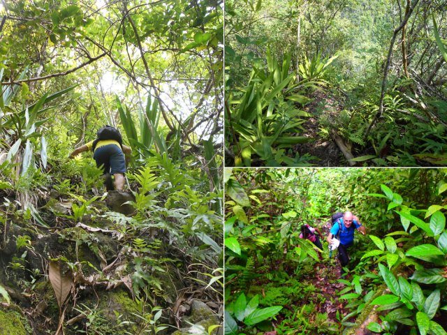 Quelques idées de la très technique montée du rempart