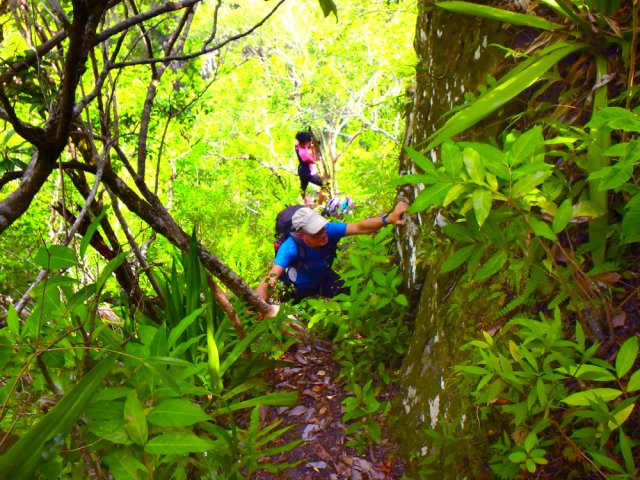 Les arbustes sont toujours bien placés pour aider au passage