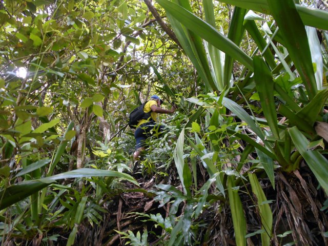 Une bonne idée de la pente