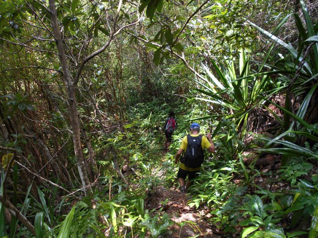 Une portion du sentier de retour vers Bellepierre