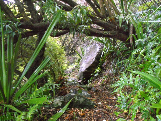 Le sentier est large et la marche facile malgré les rochers et arbres en travers