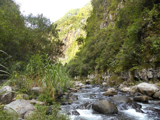 Plus haut, elle se rétrécit sans jamais se transformer en canyon