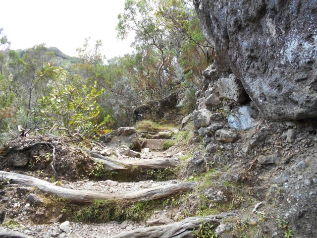 La rude montée sur hautes marches vers la Plaine des Tamarins