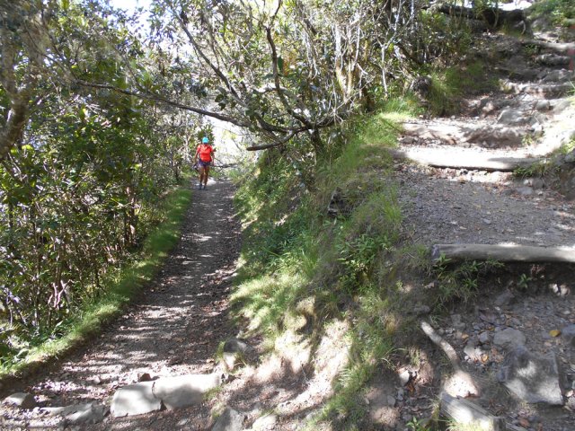 Rares portions planes durant cette montée