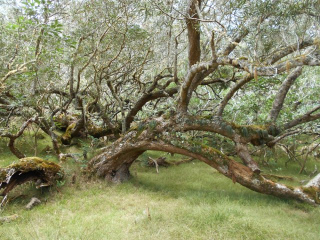 Le amateurs de photos prévoiront une heure supplémentaire