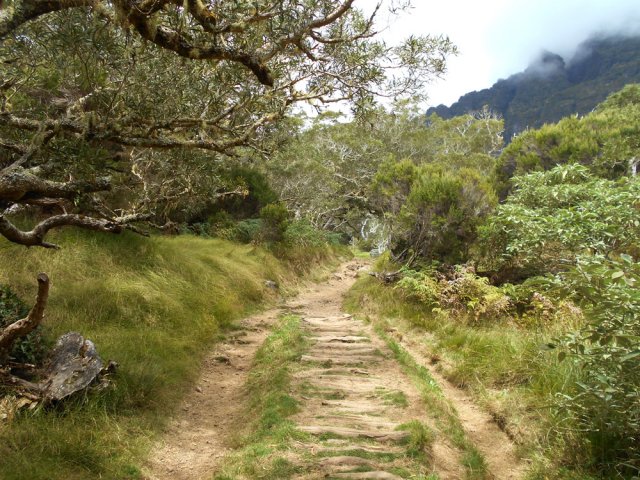 Le sentier, renforcé de rondins, très agréable par temps sec