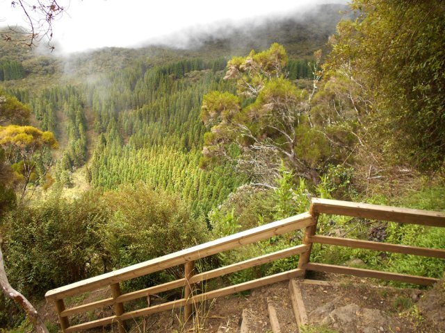 Le sentier quitte le Col de Fourche pour entrer dans le Cirque de Salazie