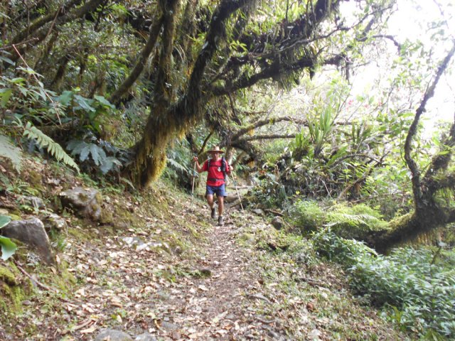 Superbe sentier pour descendre à la Plaine des Merles