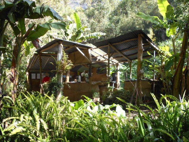 Self-service d'infusion à l'Îlet des Salazes