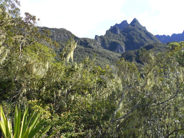 Le col Choupette entre le Gros Morne et l'arête des Salazes