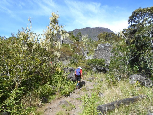 Une zone couverte de gros rochers au-dessus de l'Îlet des Salazes