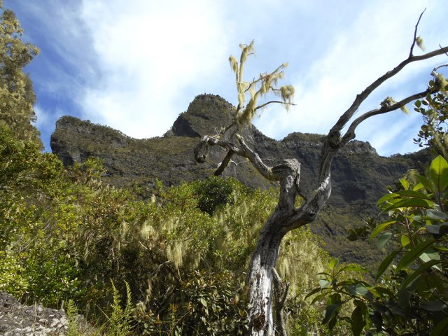 Aperçu du Nez de Bœuf au cours de la montée