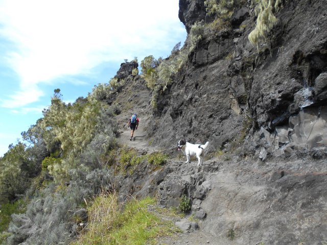Les quelques mètres dénudés avant l'arrivée à l'oratoire du col