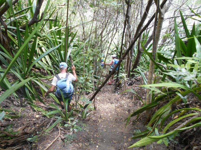 Courte mais très raide descente à partir du sentier Burel