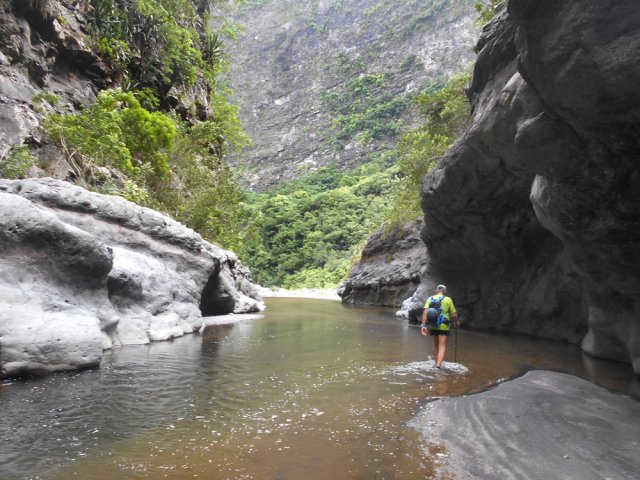 Jolie petite gorge à 200 m de la route de Cilaos (dans la verdure)
