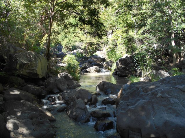 La remontée est technique mais peu difficile