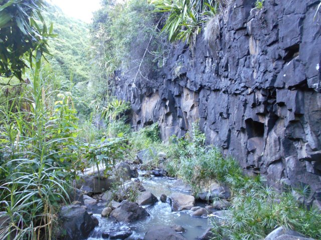 Nouvelles falaises bordées de papyrus