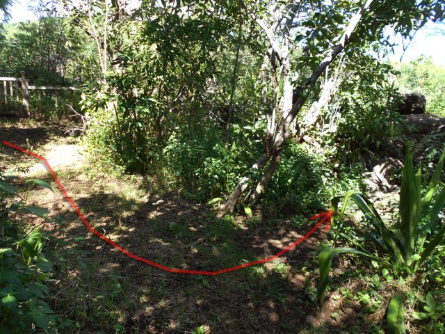 Chercher le début de la descente, 10 mètres après le vieux belvédère