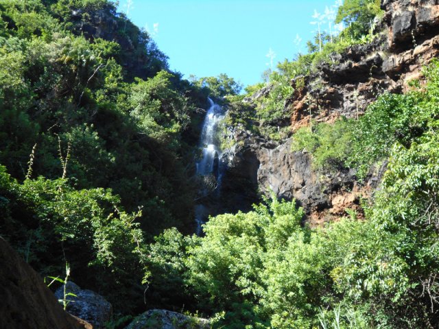 Et toujours les lianes papillon qui commencent à envahir les parois