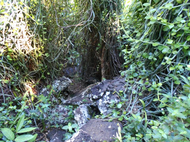 Les 50 premiers mètres sont acrobatiques sur de grosses roches acérées